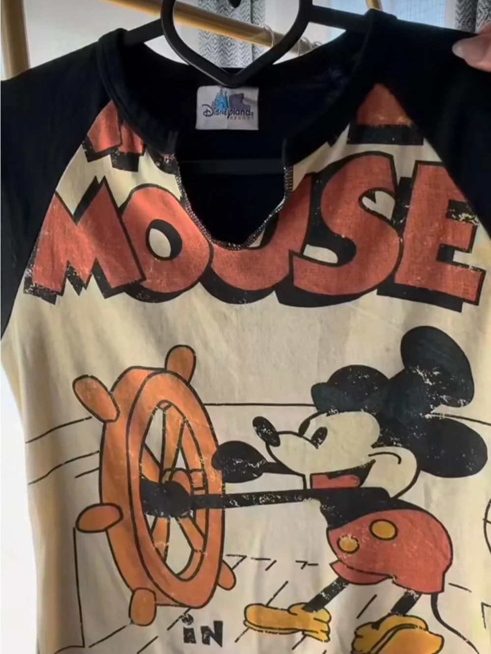 Y2K Disneyland Resort Raglan Tees